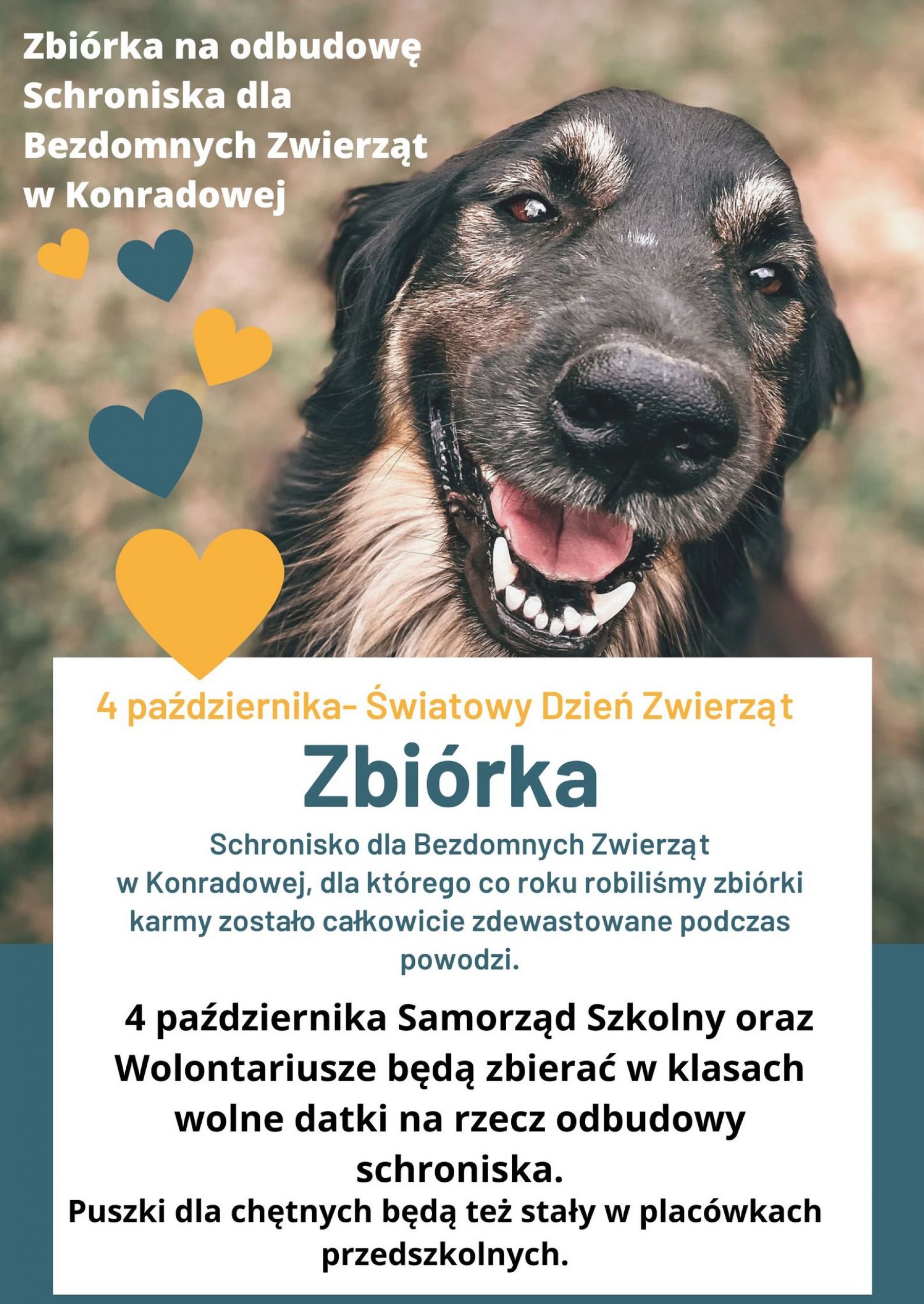 Obraz: