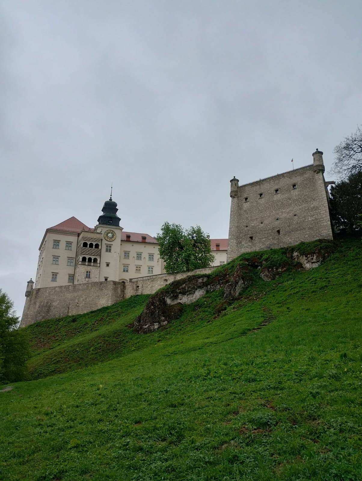 Obraz: